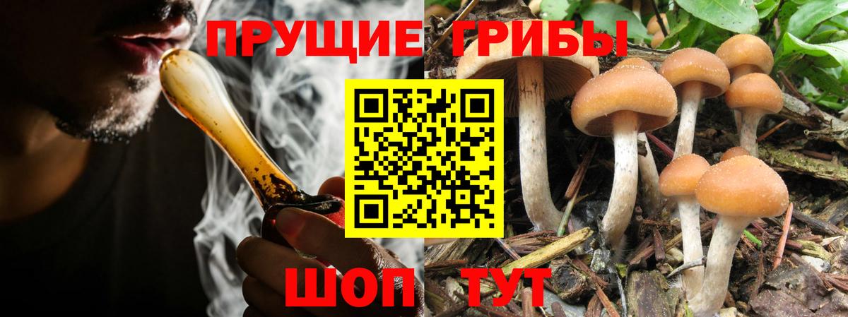 Скопин  Псилоцибиновые грибы Psilocybine cubensis  как найти закладки  Вход с VPN 